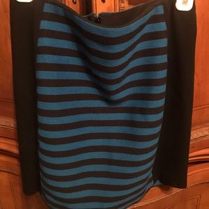 Ann Taylor Skirt Sz 4Petite